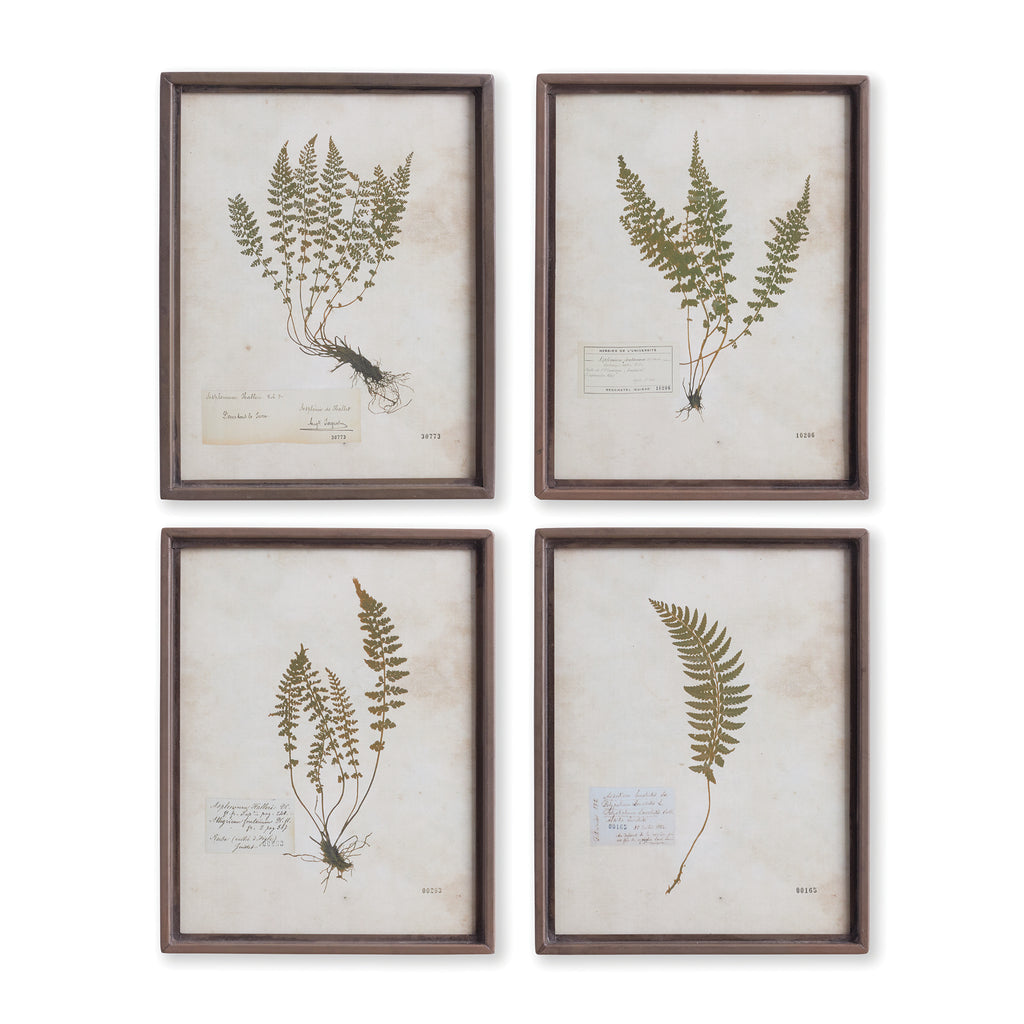 PETITE FROND PRINTS, SET OF 4 - The Nifty Decor