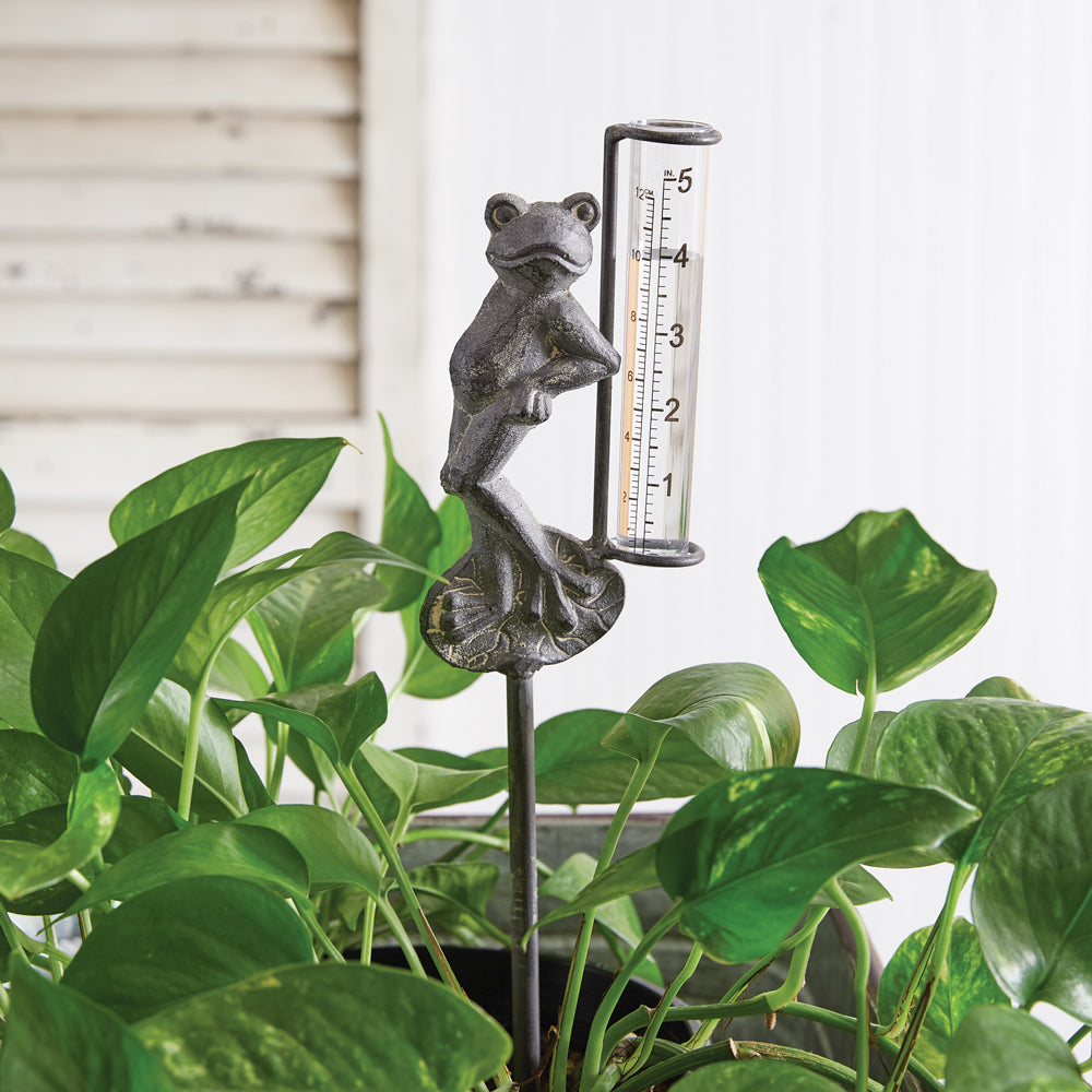 Frog Rain Gauge Garden Pick - Box of 2 - Bombay Mercantile