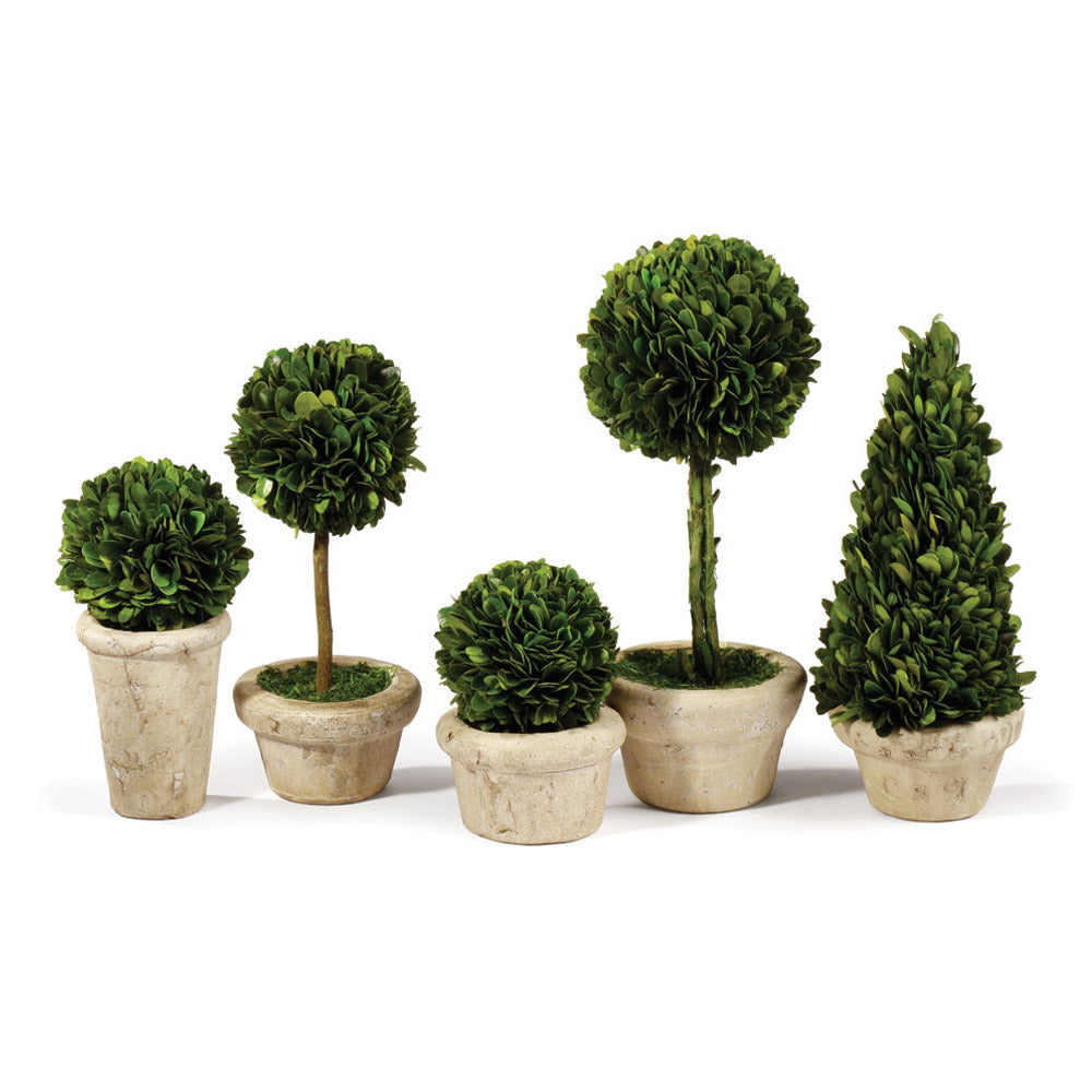 BOXWOOD TOPIARIES IN POTS, SET OF 5 - The Nifty Decor
