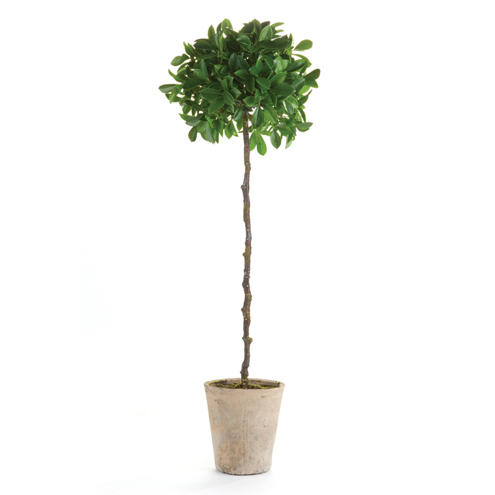 FICUS TOPIARY POTTED 35" - The Nifty Decor