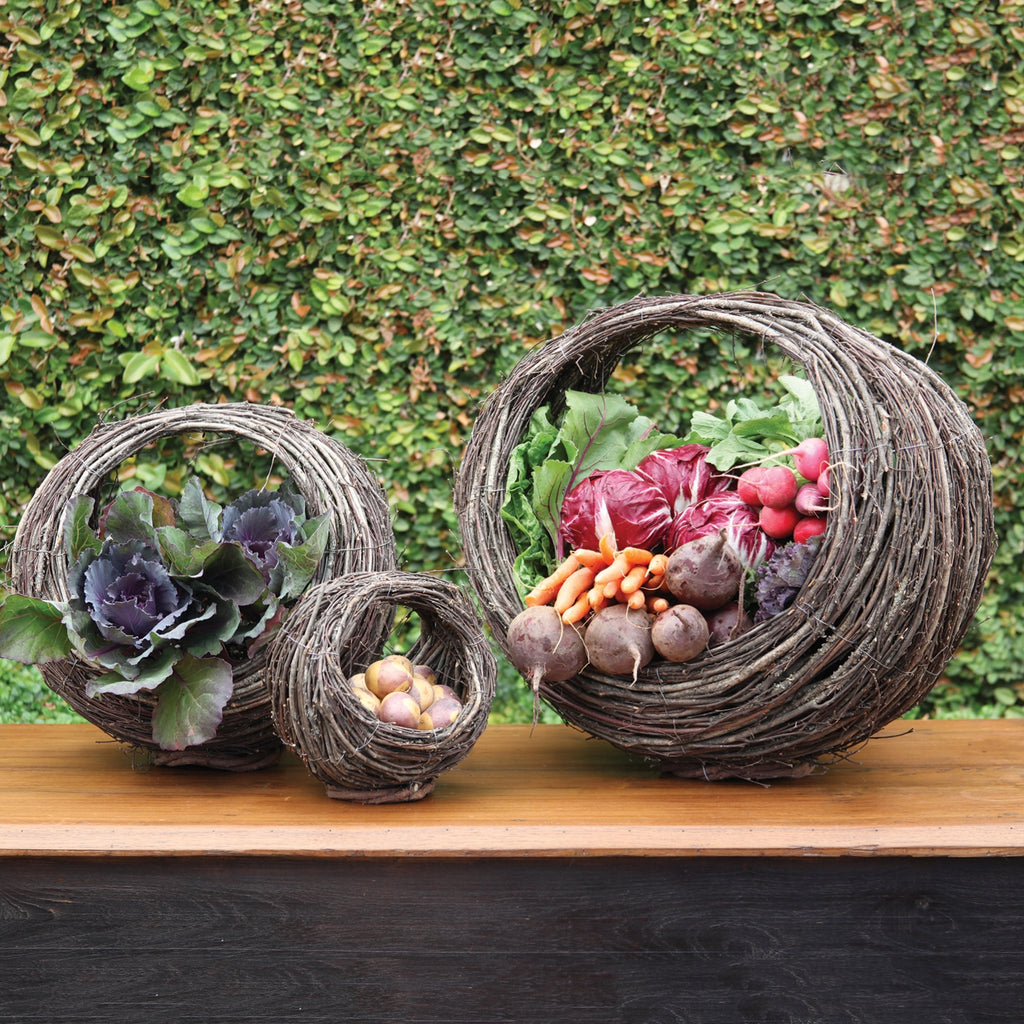 Willow Ellipse Baskets - Set of 3 - The Nifty Decor