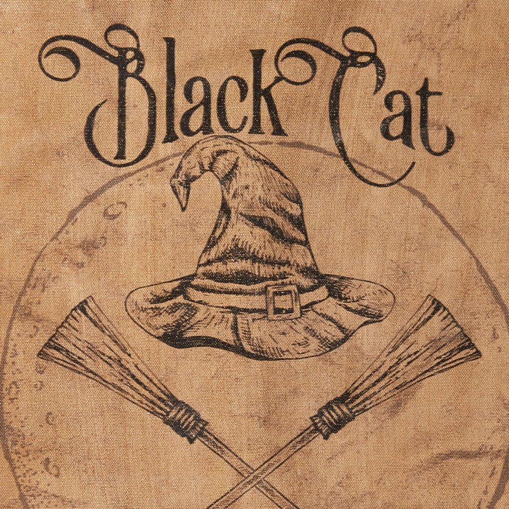 Black Cat Flying Lessons Canvas - Bombay Mercantile