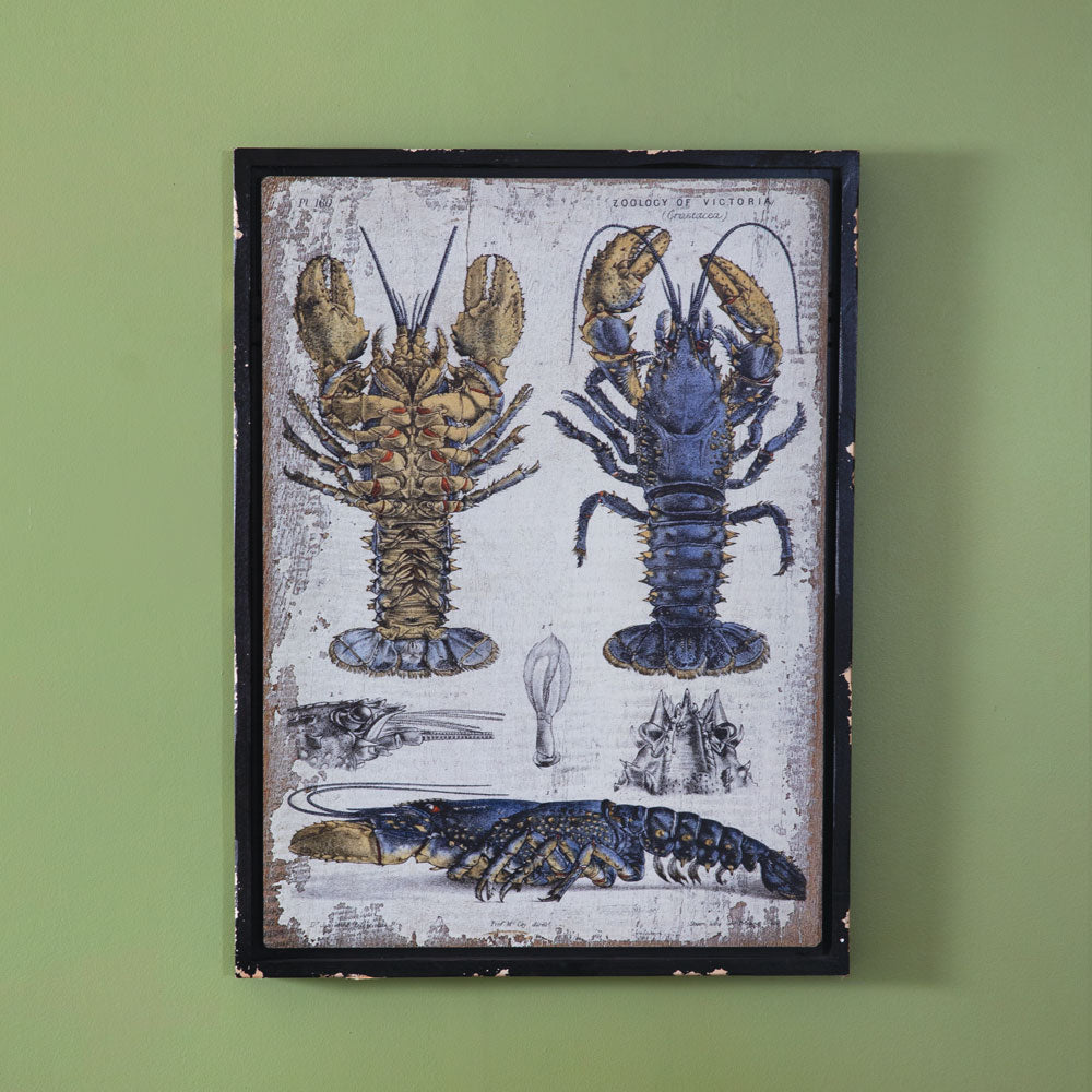 Scientific Blue Lobster Wall Decor - Bombay Mercantile