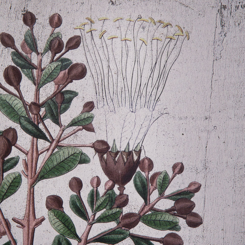Botanical Olive Branch Wall Decor - Bombay Mercantile