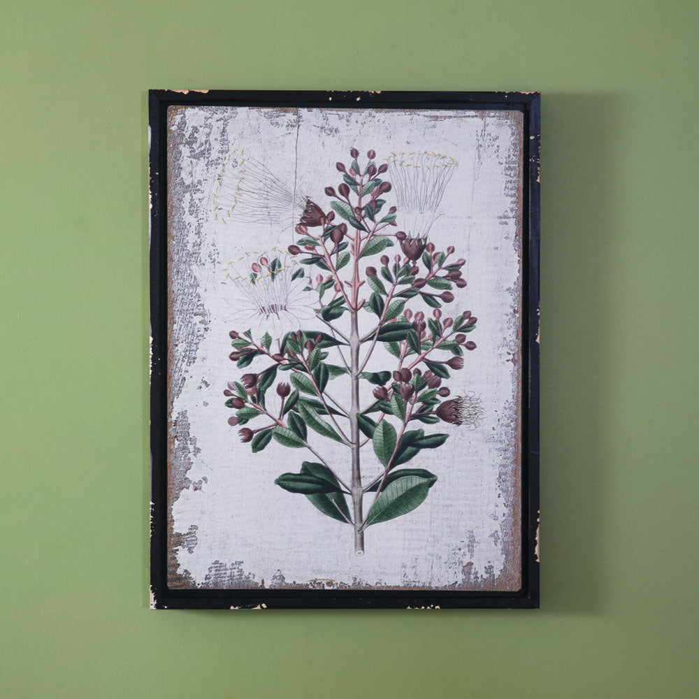 Botanical Olive Branch Wall Decor - Bombay Mercantile