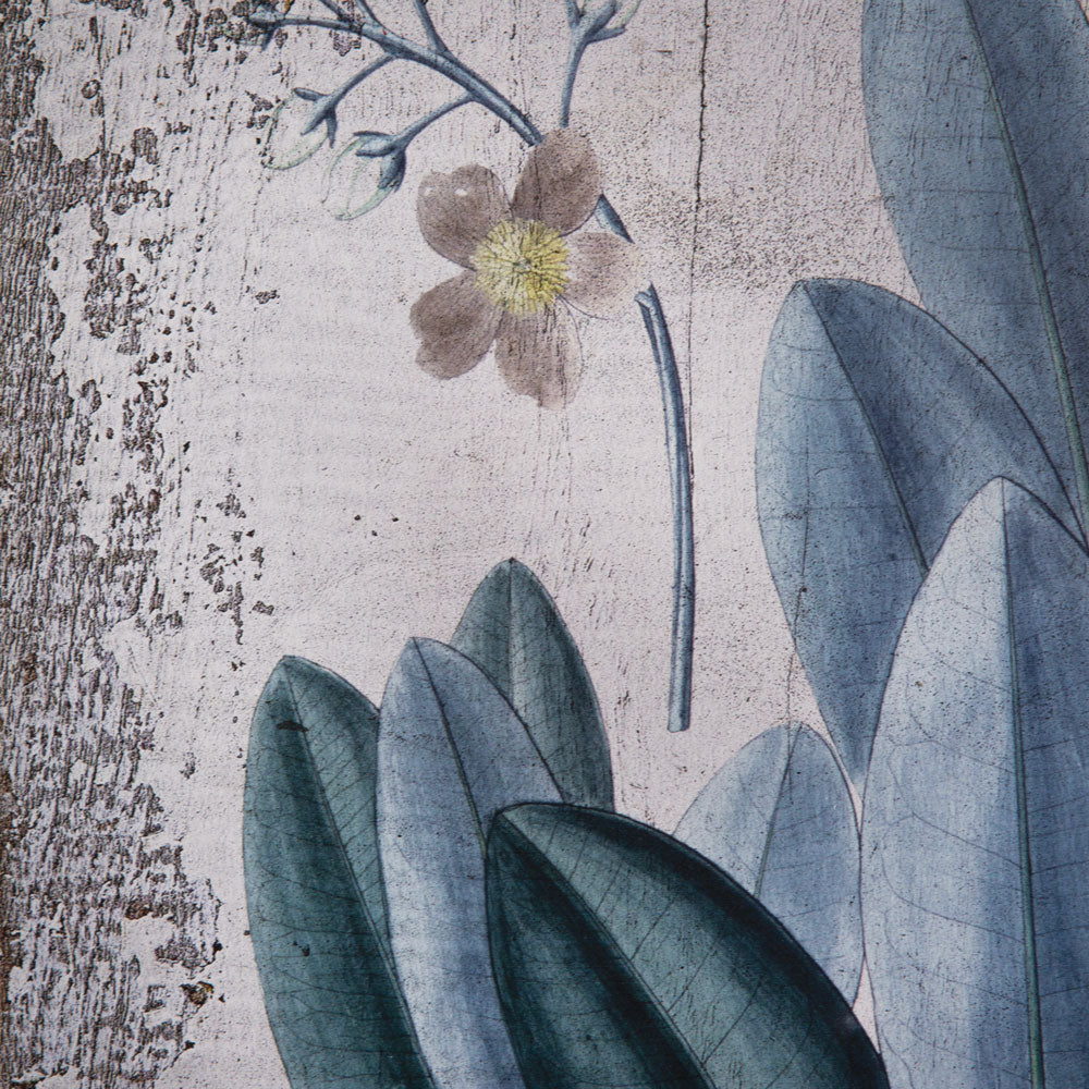 Botanical Rubber Plant Wall Decor - Bombay Mercantile