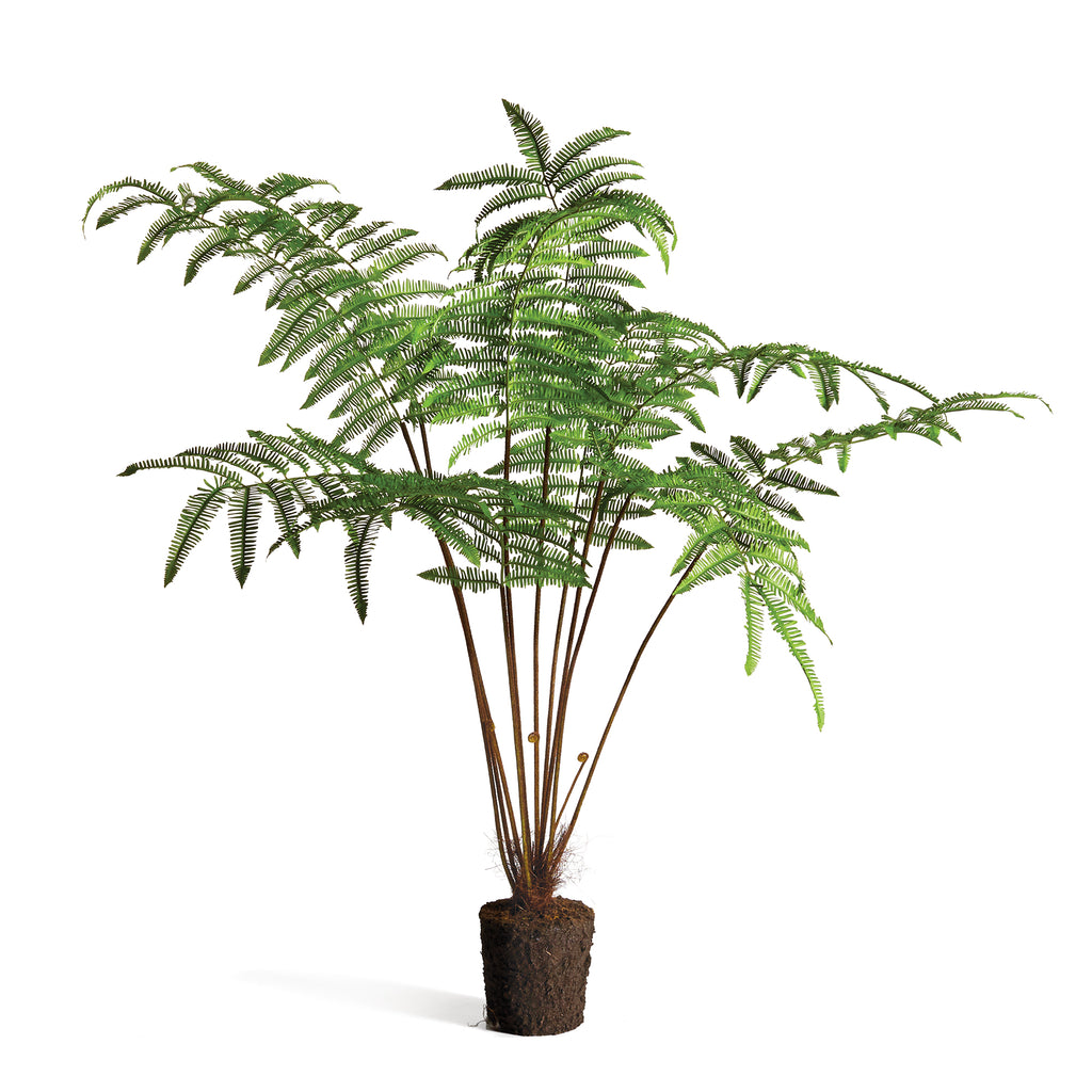FOREST FERN DROP-IN 60" - The Nifty Decor
