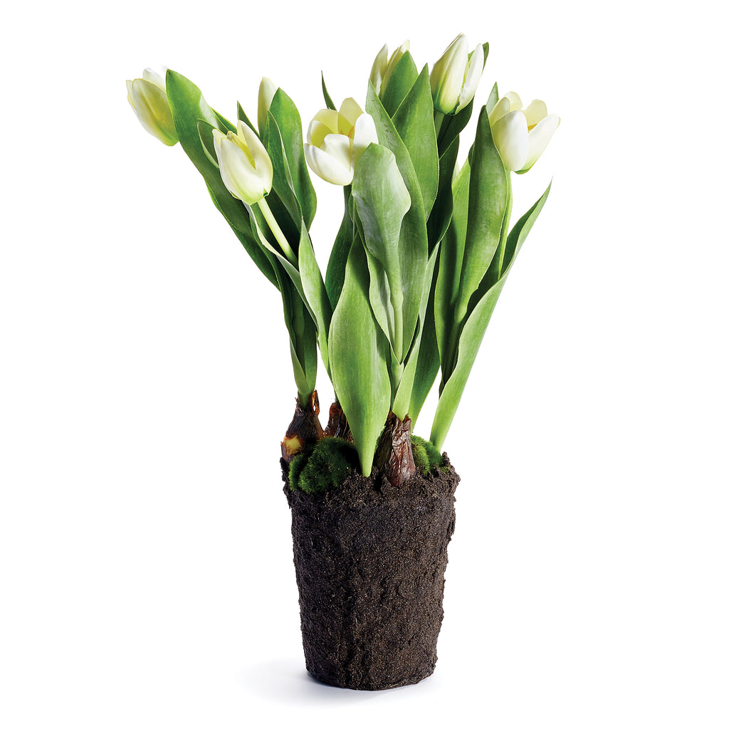TULIP DROP-IN 22" - The Nifty Decor