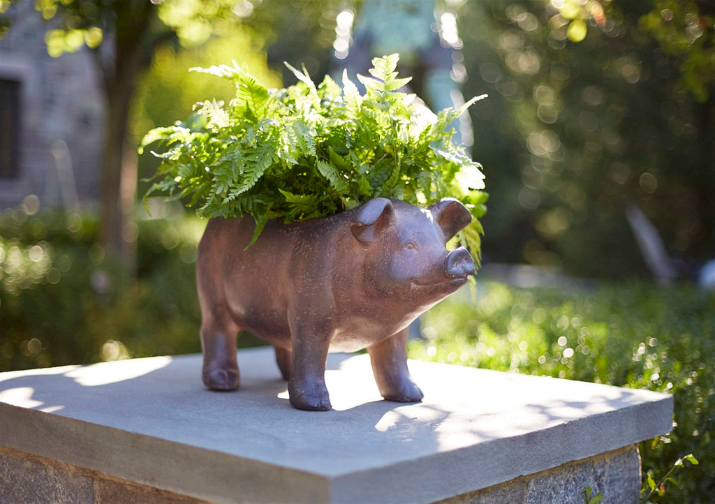 Brown Pig Planter - The Nifty Decor