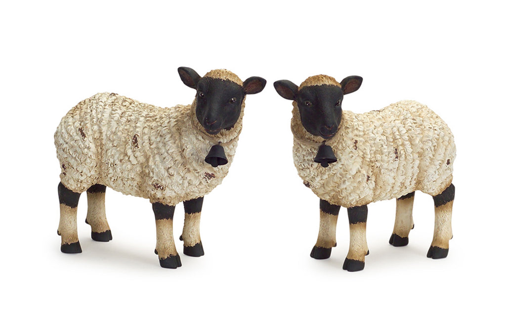 Cream Black set of 2 Sheep - Bombay Mercantile