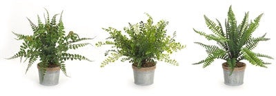Potted Fern (Set of 3) - The Nifty Decor
