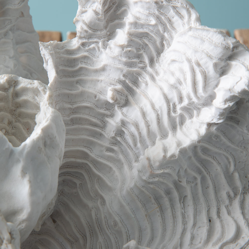 Wave Coral Figurine - Bombay Mercantile
