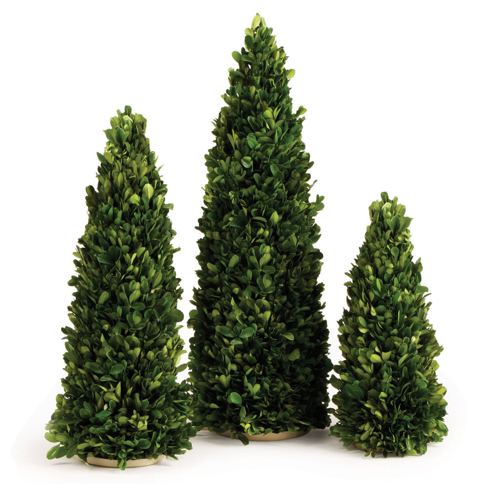 BOXWOOD MINI TREES, SET OF 3 - The Nifty Decor