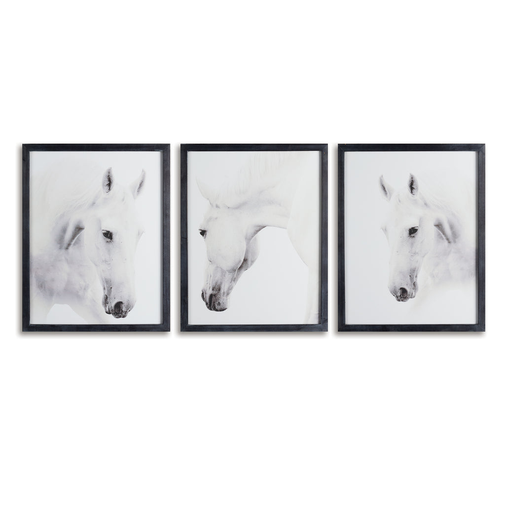 WILD HORSES PHOTOGRAPHIC PRINTS, SET OF 3 - The Nifty Decor