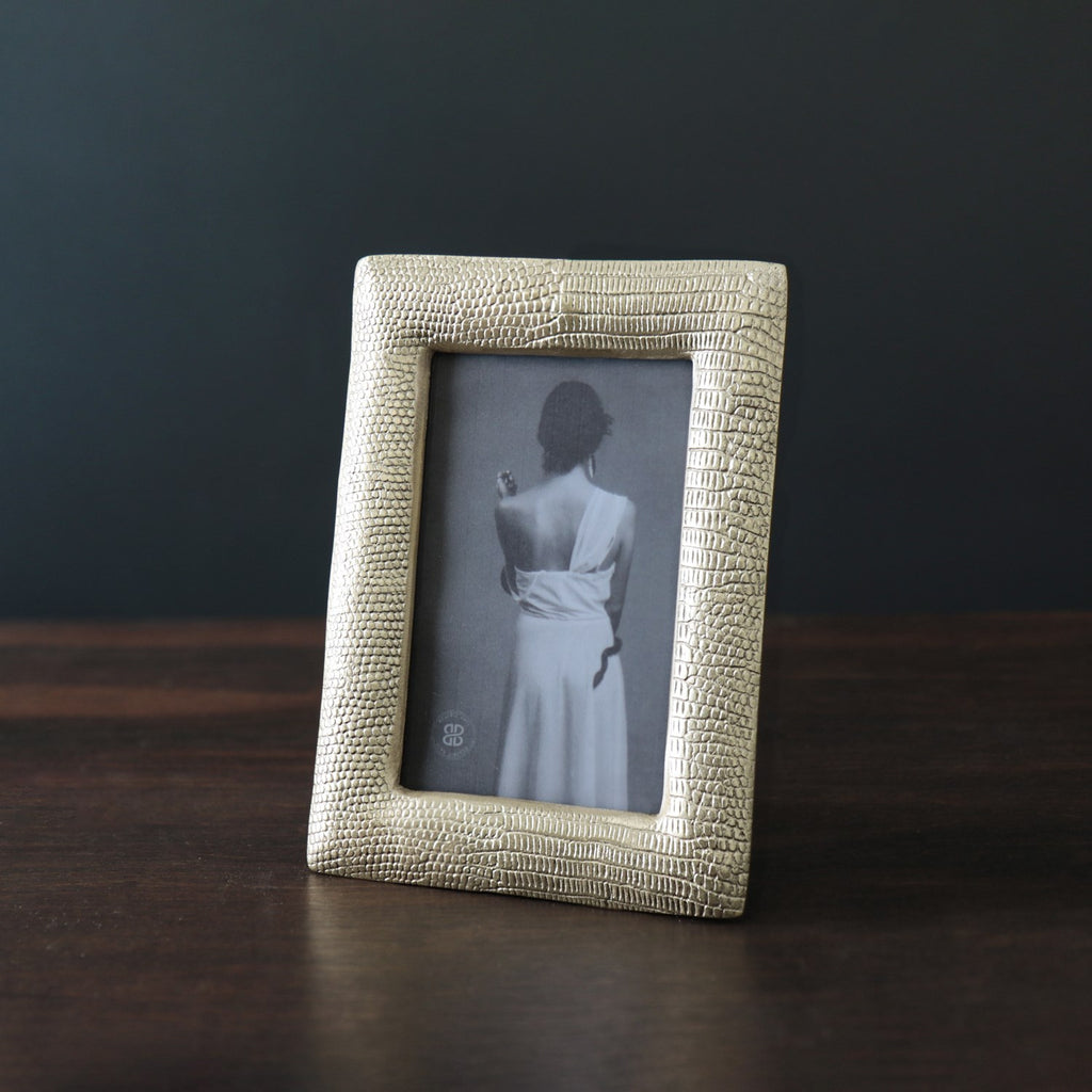 Sierra Modern Python 4 x 6 Frame - The Nifty Decor