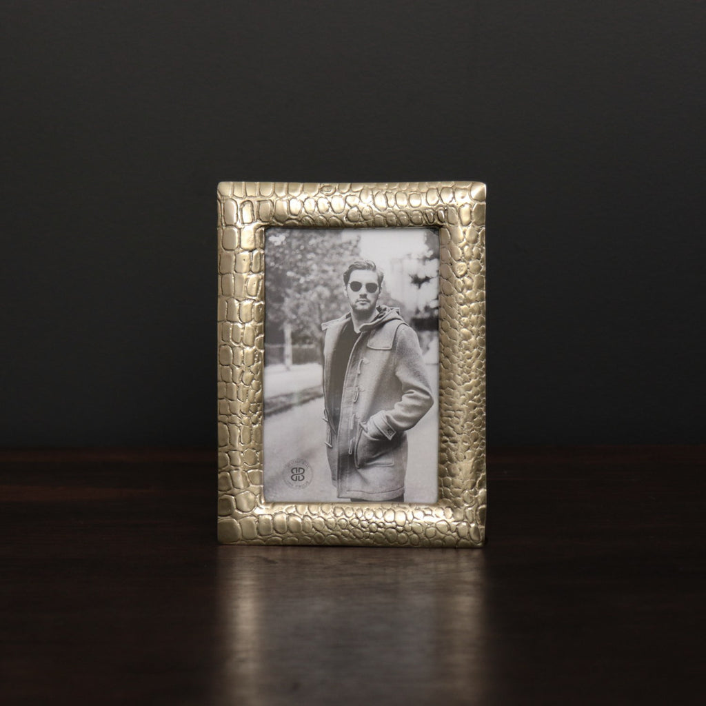 Croc 4 x 6 Frame (Gold) - The Nifty Decor