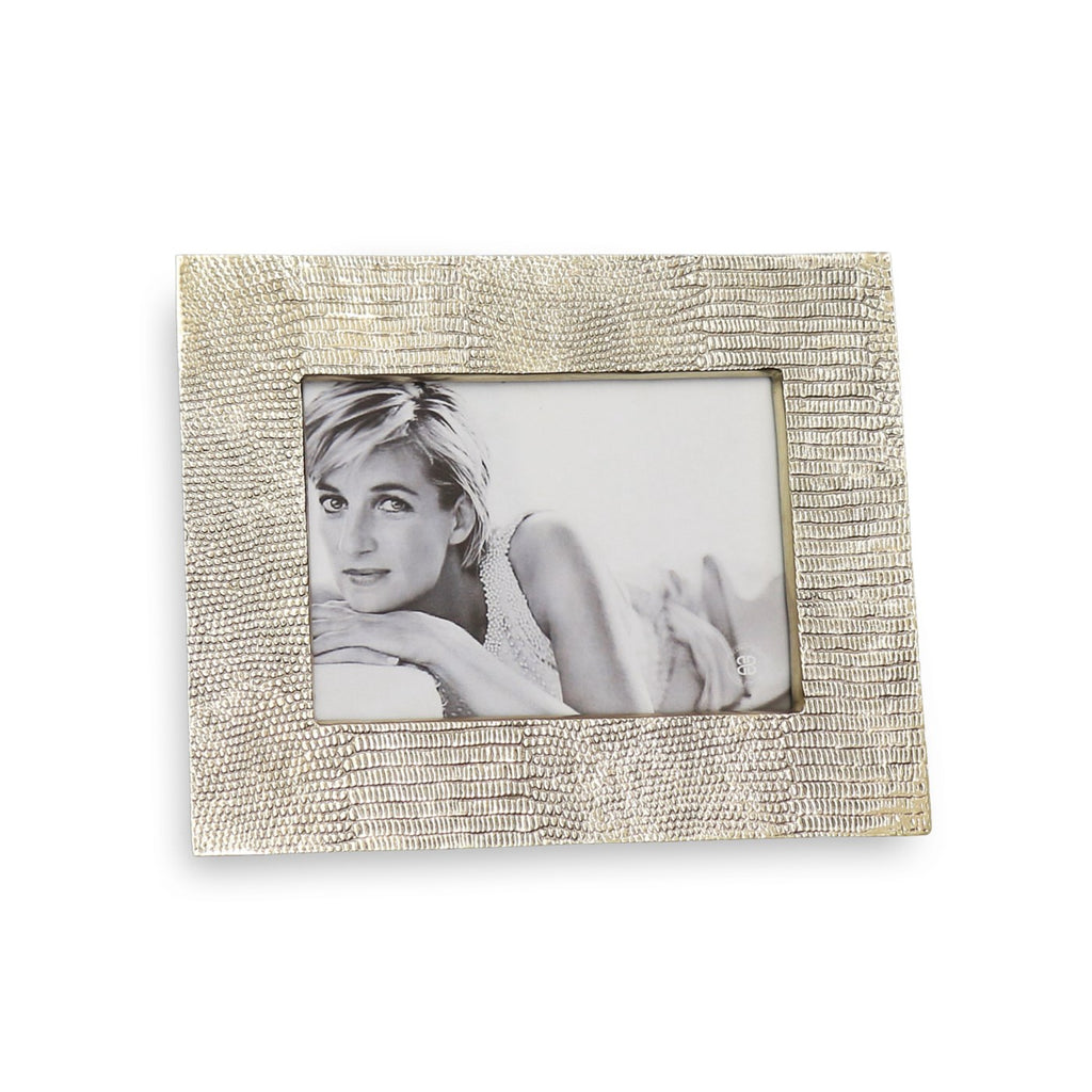 Python 5 x 7 Frame (Gold) - The Nifty Decor
