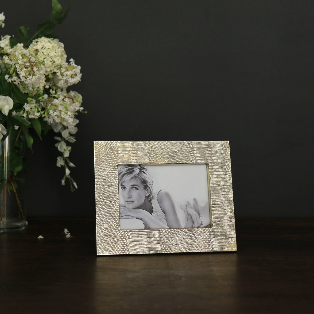 Sierra Modern Python 5 x 7 Frame (Gold) - The Nifty Decor