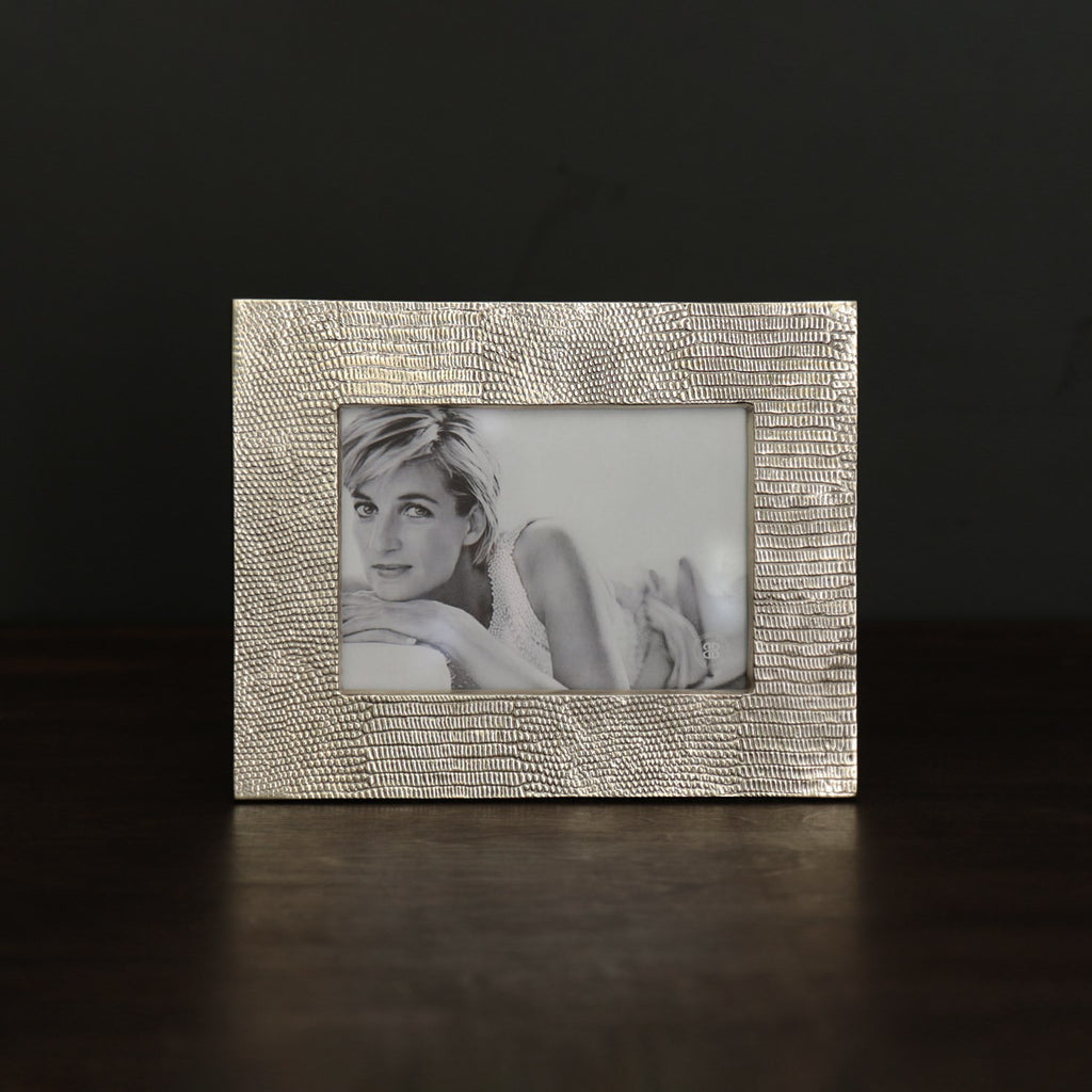 Sierra Modern Python 5 x 7 Frame (Gold) - The Nifty Decor