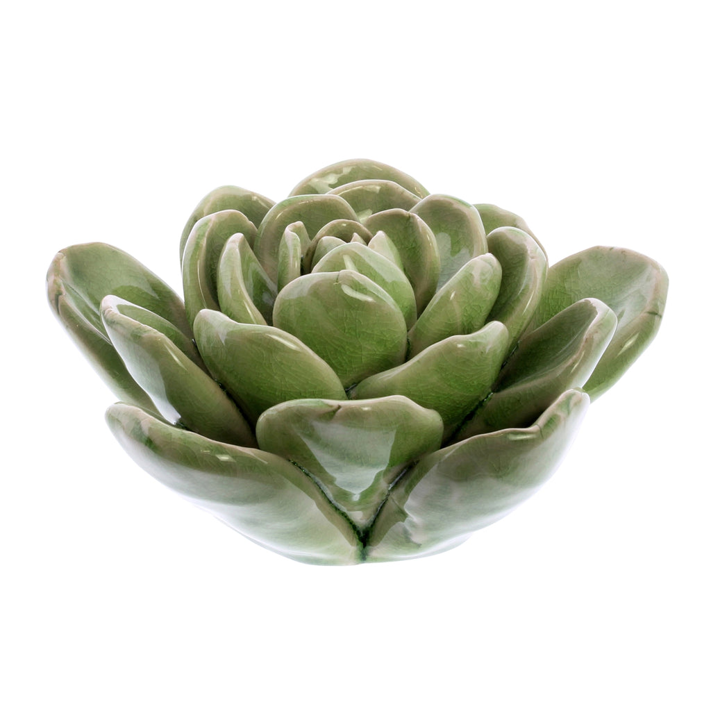 Large Ceramic Succulent - Bombay Mercantile