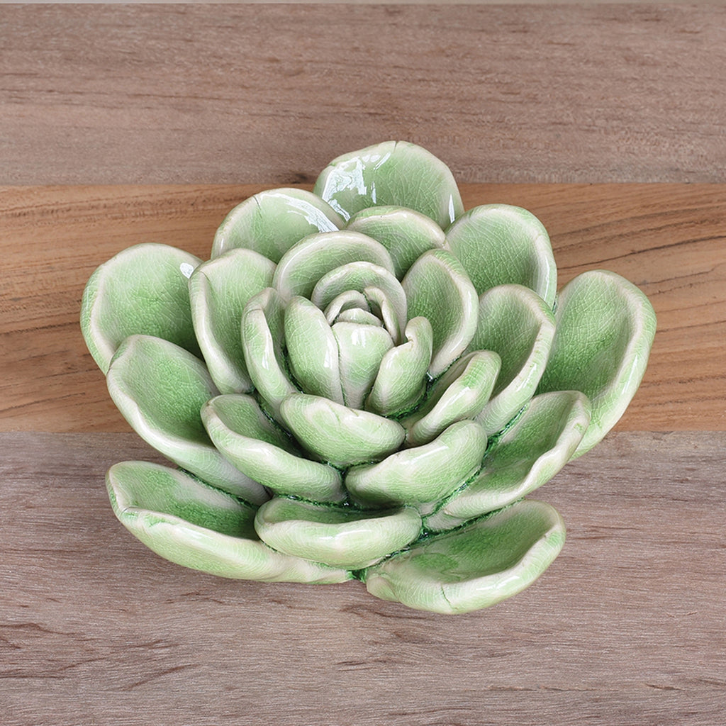 Large Ceramic Succulent - Bombay Mercantile