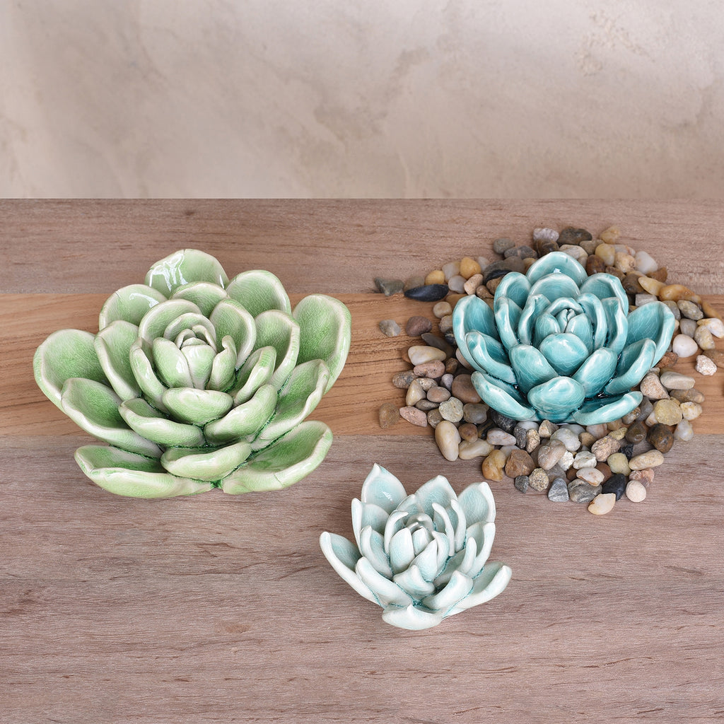Large Ceramic Succulent - Bombay Mercantile