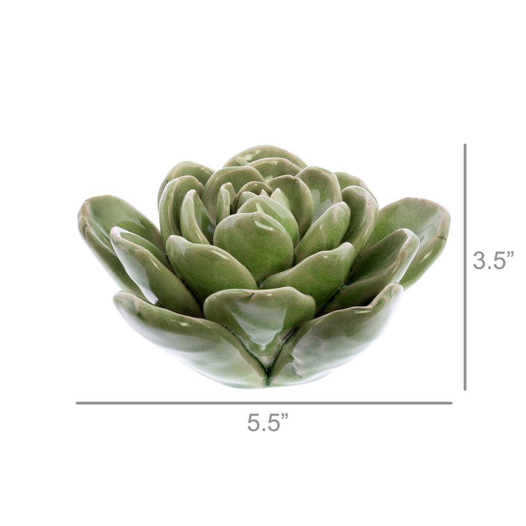 Large Ceramic Succulent - Bombay Mercantile