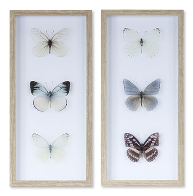 Butterfly Print, Set of 2 - The Nifty Decor