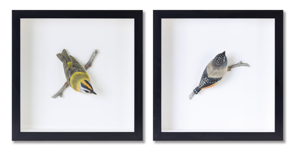 Bird shadow box, set of 2 - The Nifty Decor