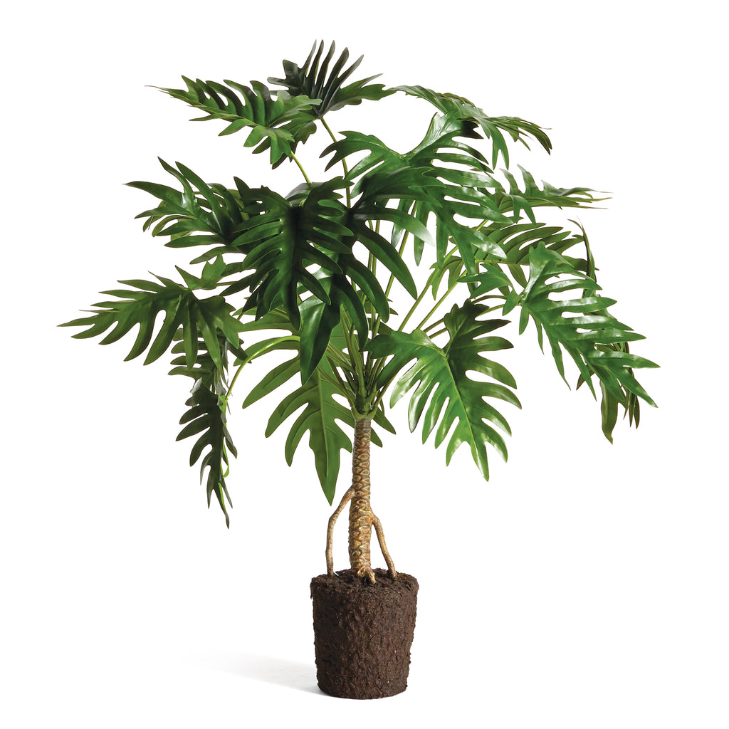 SPLIT LEAF SELLOUM DROP-IN 38.5" - The Nifty Decor