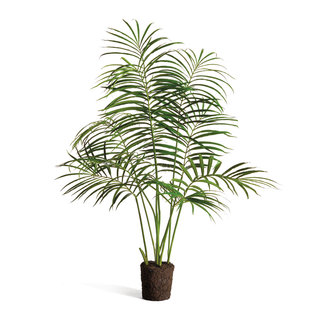 PALM TREE DROP-IN 50" - The Nifty Decor