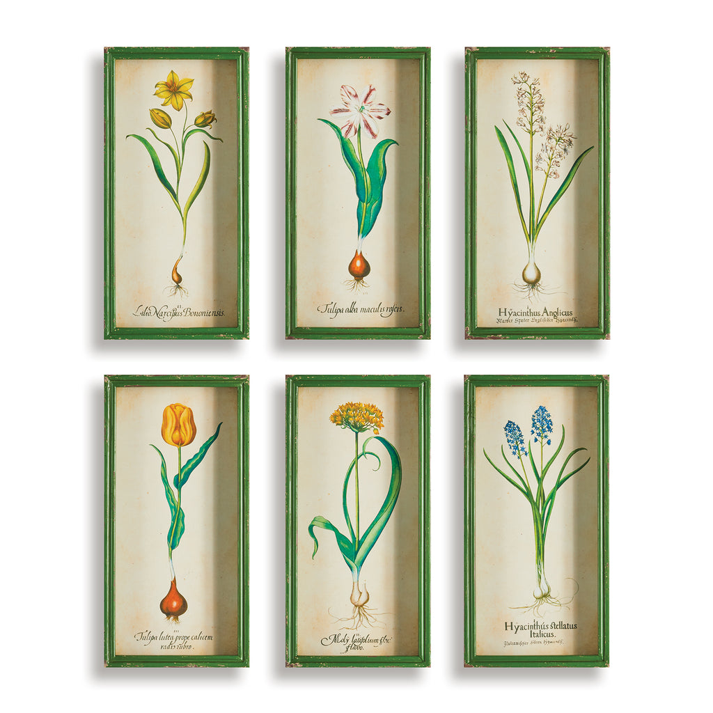 BULB STUDY SHADOW BOX PRINTS - The Nifty Decor