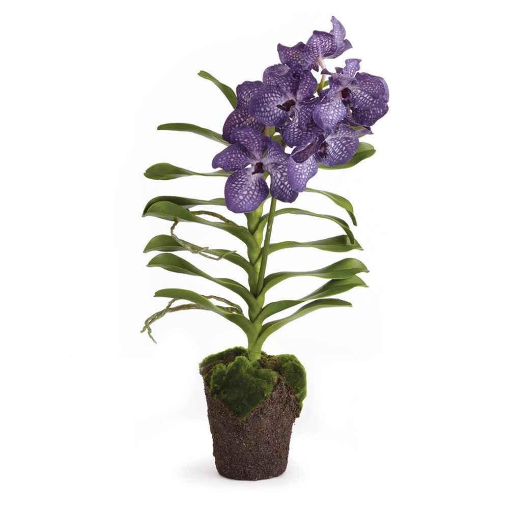 VANDA ORCHID DROP-IN 30" - The Nifty Decor