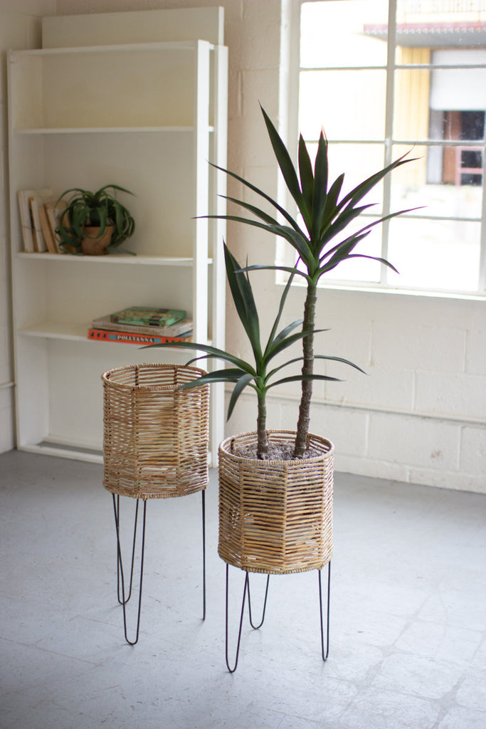Seagrass planters with iron bases, set of 2 - The Nifty Decor