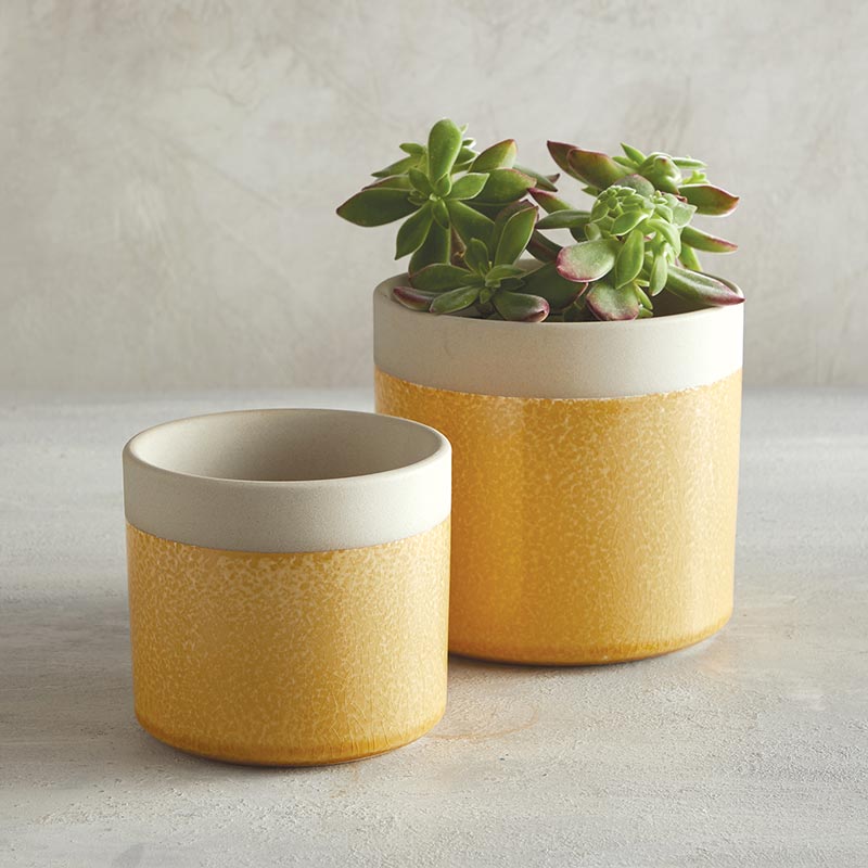 Yellow Pot - Bombay Mercantile