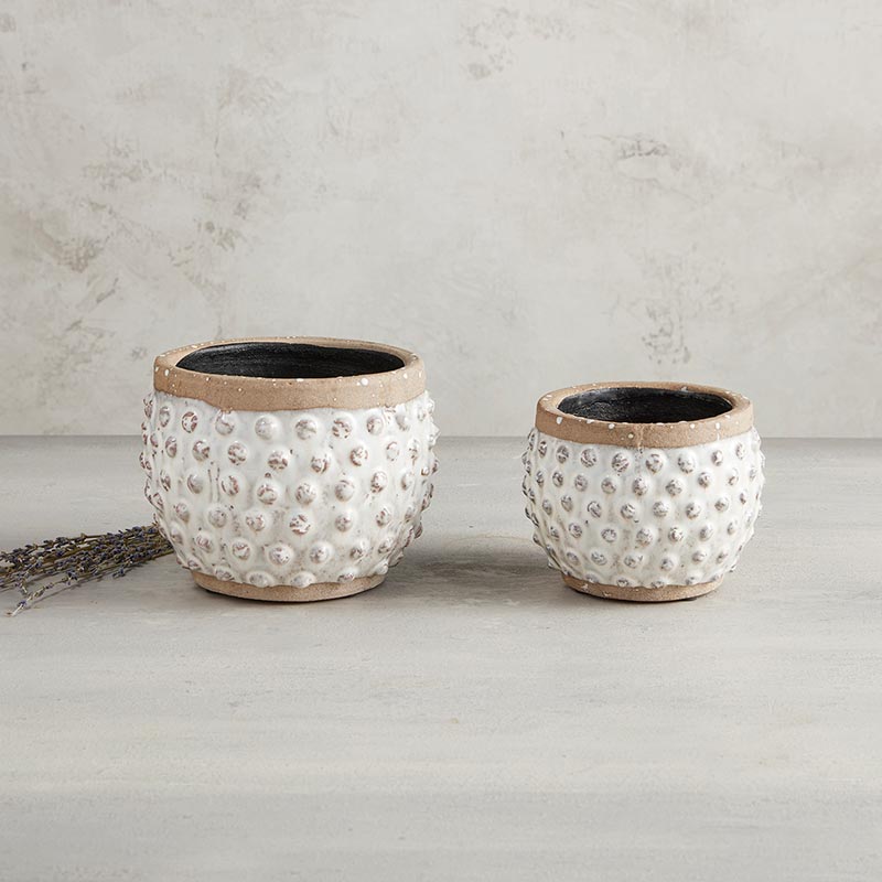 Polka Dot Planter Pot - Bombay Mercantile