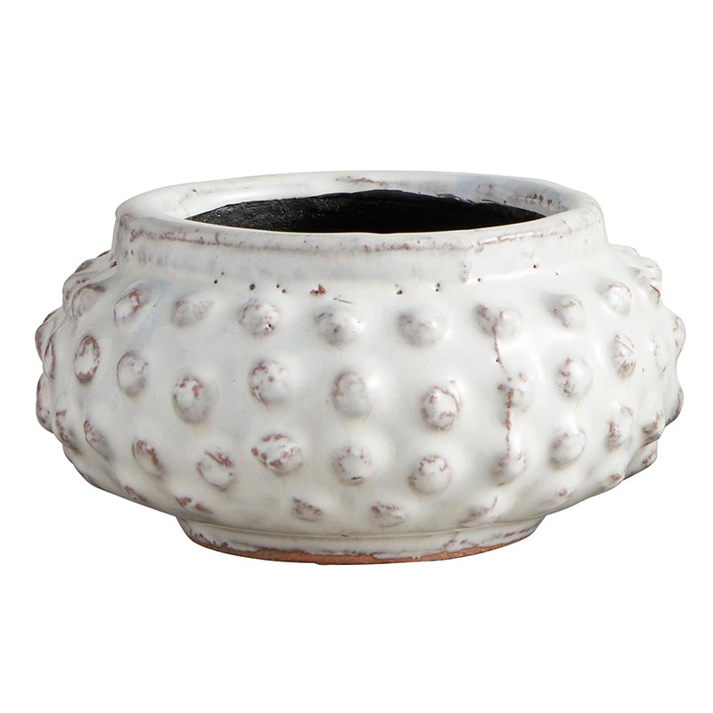 Dot Planter - Bombay Mercantile