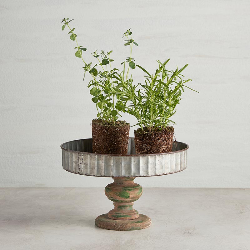Galvanized Stand - Rustic - Bombay Mercantile