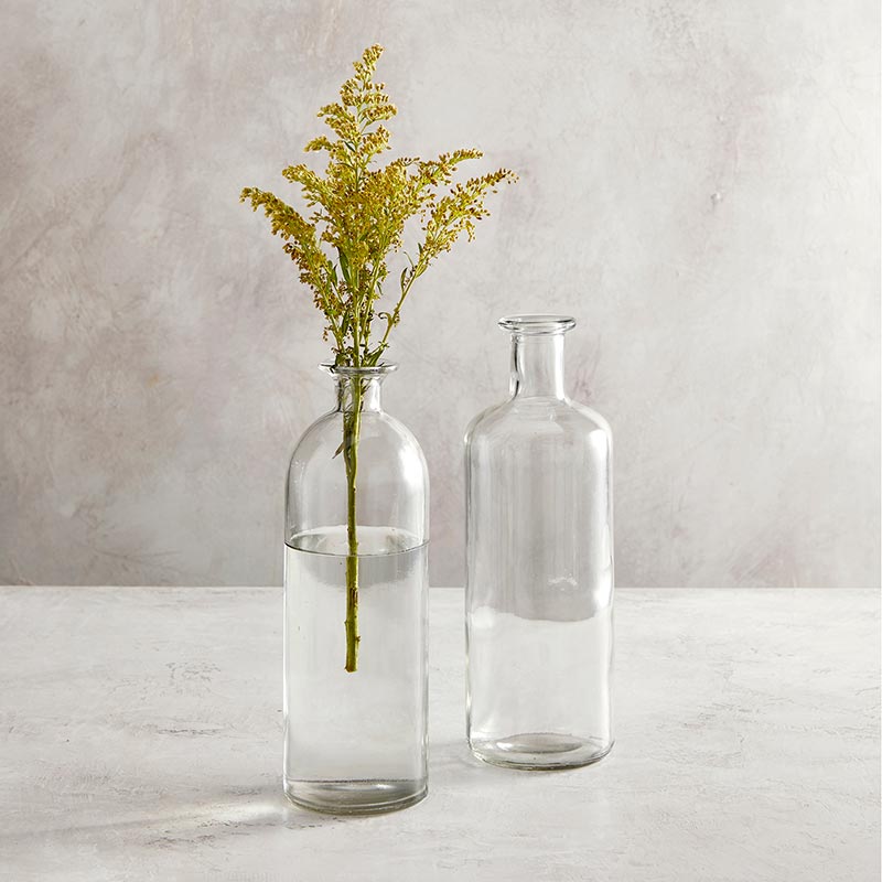 Clear Glass Vase - Bombay Mercantile