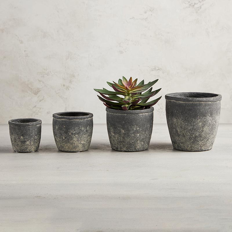 Black Planter - Bombay Mercantile
