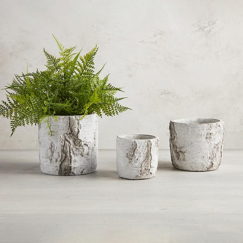 Bark Tree Planter - Bombay Mercantile