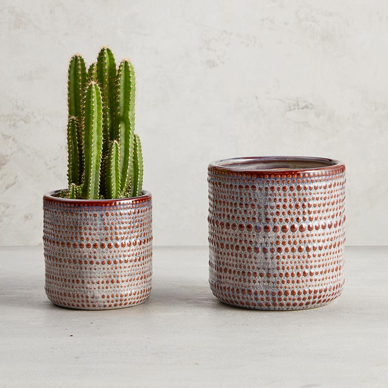 Smoke Dotted Pot - Bombay Mercantile