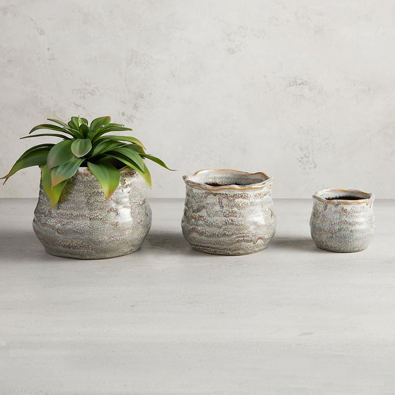 Clary Sage Pot - Bombay Mercantile