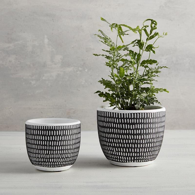 Pit Vertical Stripes Pot - Bombay Mercantile