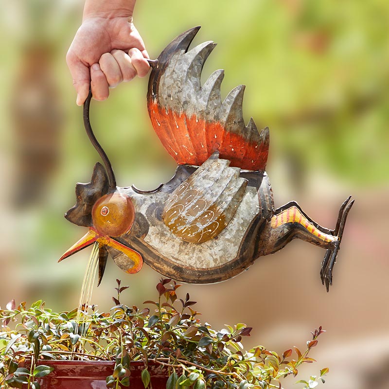 Rooster Watering Can - Bombay Mercantile