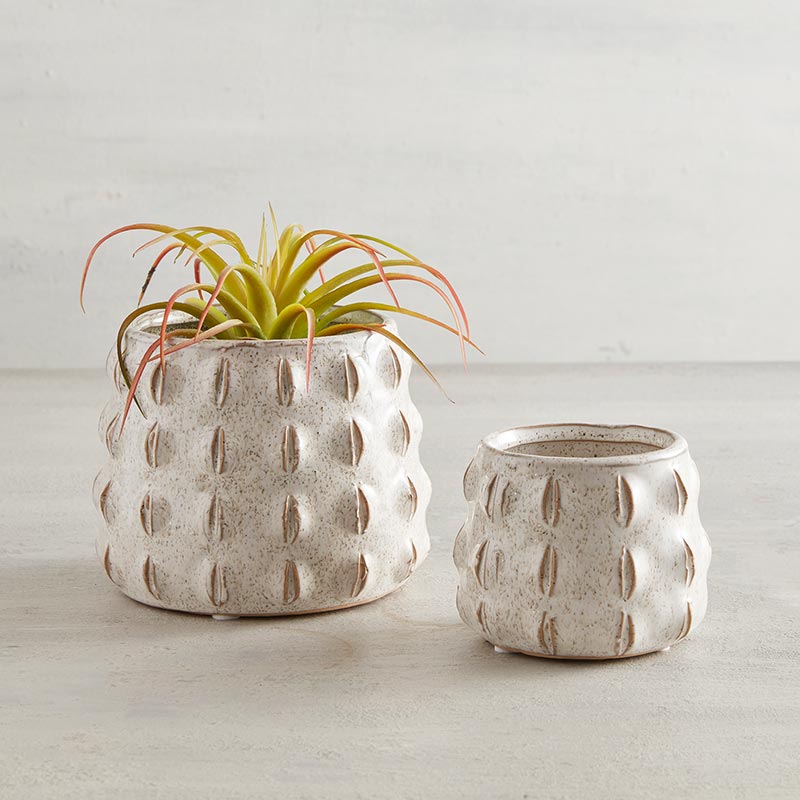Textured Pot - Bombay Mercantile