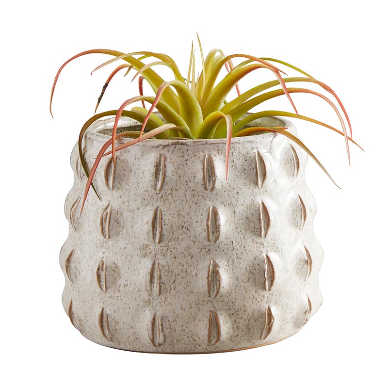 Textured Pot - Bombay Mercantile