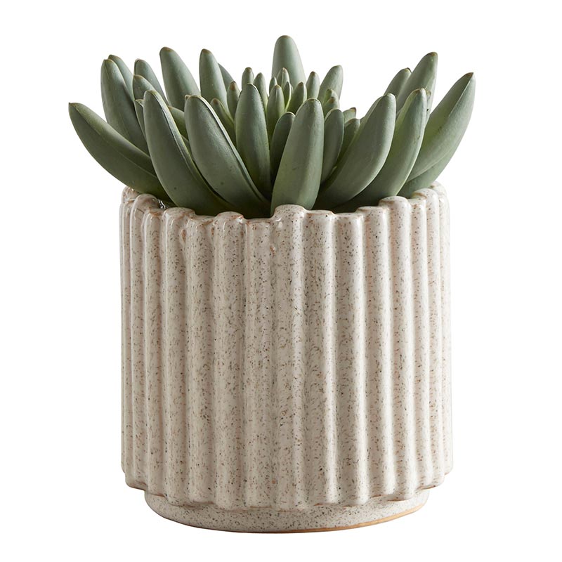 White Lineal Pot - Bombay Mercantile