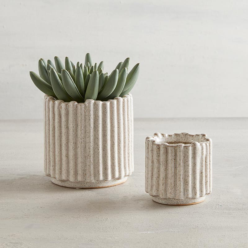White Lineal Pot - Bombay Mercantile