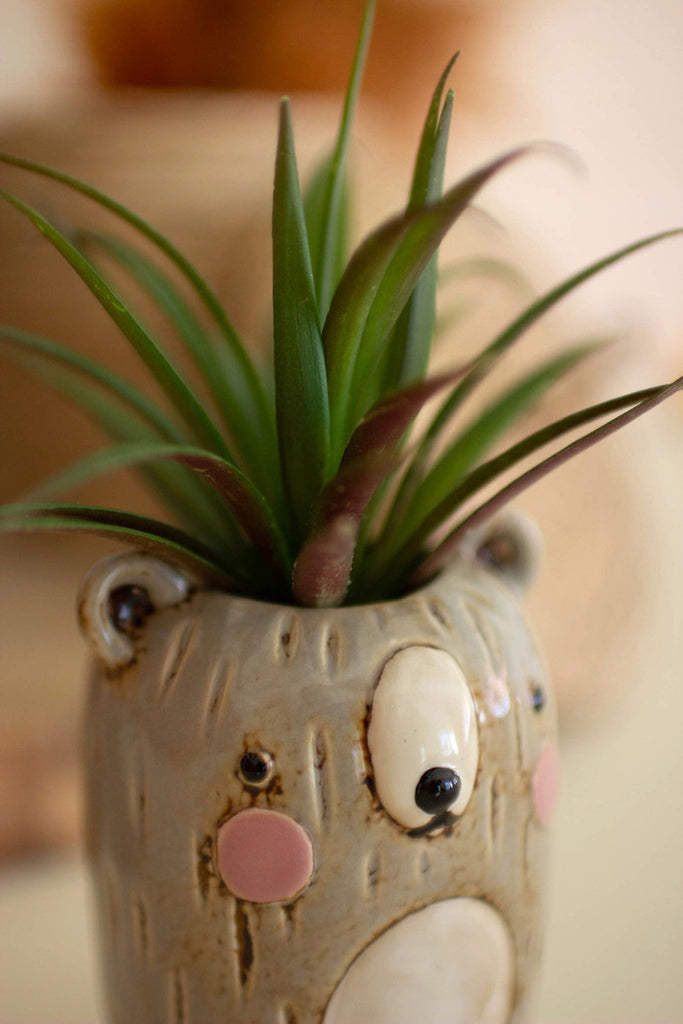 Set of 3 ceramic bear planters - Bombay Mercantile